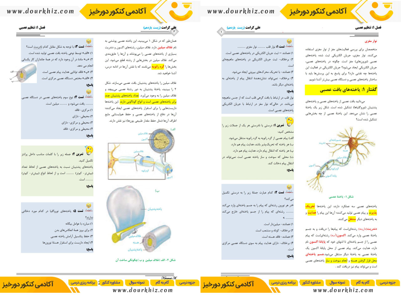 نمونه صفحات جزوه زیست یازدهم تجربی