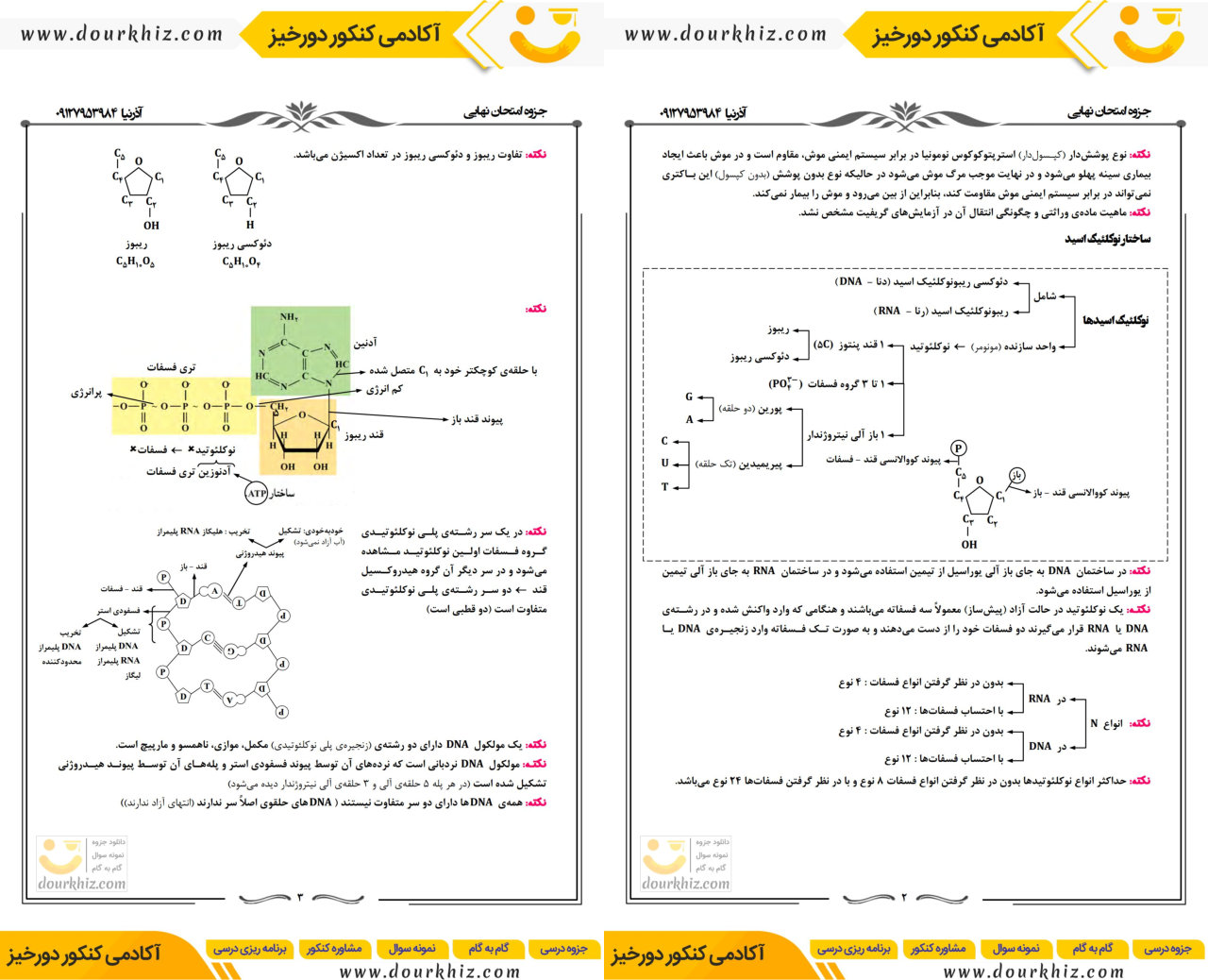 نمونه صفحات درسنامه و نکات زیست دوازدهم