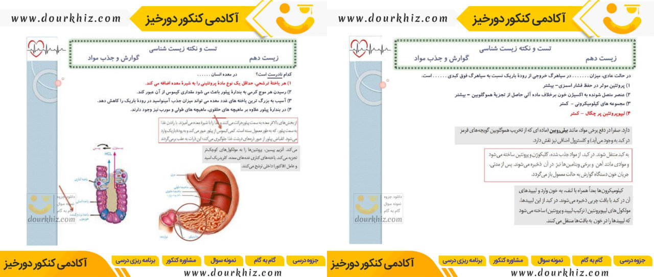 نمونه صفحات نکته و تست زیست شناسی کنکور