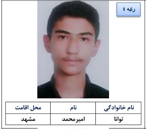 امیر محمد توانا 